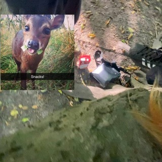 311511410261