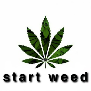 קהילה ראשית - StartWeed