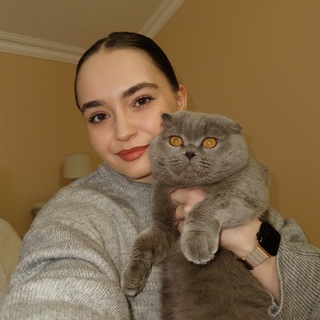 Svetik Browboss 💌