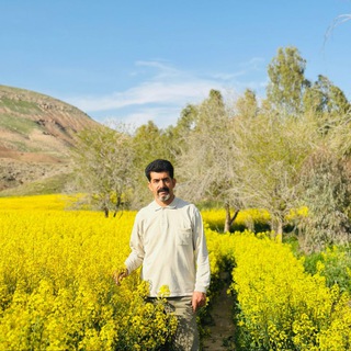 ایرج فریادیان