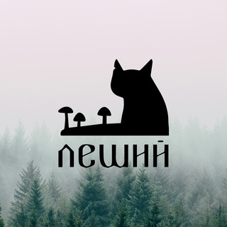 Tbilisi Cat Rescue || Сообщество «Леший Кот»
