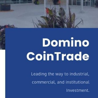 Dominocointrade Limited Investor's