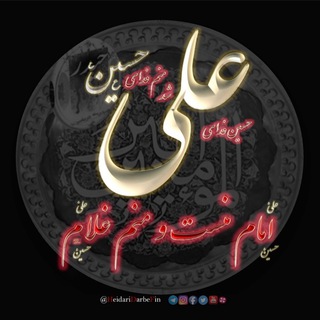 ربات حیدری دربفین