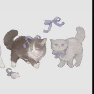 ♡