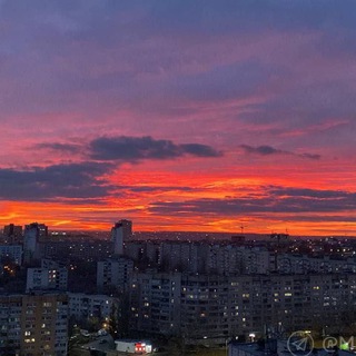 в дзр любят