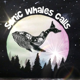 🐳Sonic Whales® Calls🐳