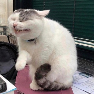 Я В