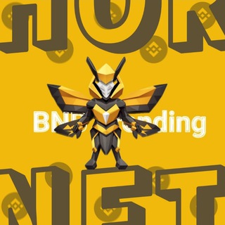 Hornet Trending BNB