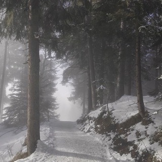 brrrr ><