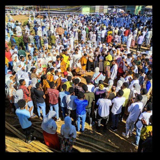 የሽብሸቦ መዝሙሮች👏👏👏