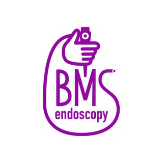 BMSFeedback_bot