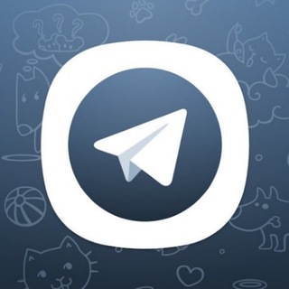 TG中文群组搜索大全|频道开车导航