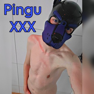 Pingu XXX