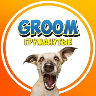 GROOMанутые 🤪