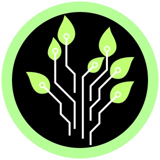 HINOKI PROTOCOL Global