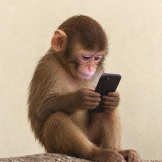 APEONFONE CHAT | APEONFONE