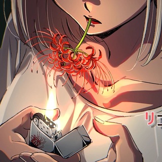 Lycoris