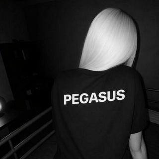 Pegasus#Elbet Birgün !