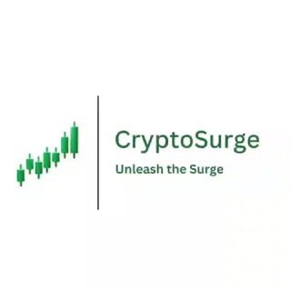 CryptoSurge Services