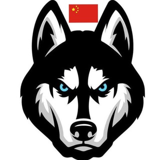 Alaska Inu DAM 🐶 Chinese Community