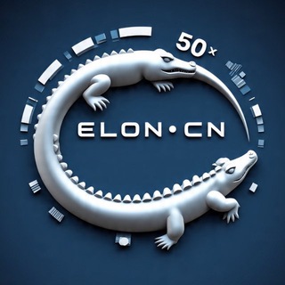 ElON•CN 📊 50倍