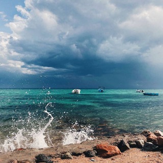 DAHAB FORUM 🌴