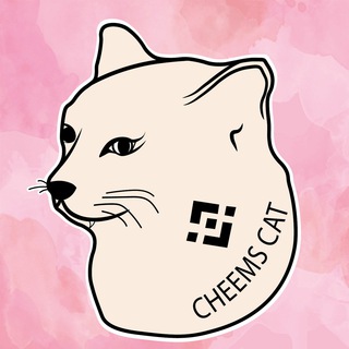 Cheems Cat *The Official* 🇪🇸