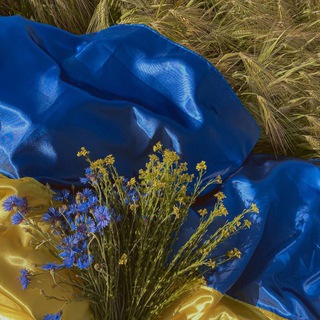 Українці в Європі Закони Інформація ℹ️