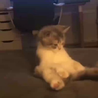 👾Асуждение кanala 👾