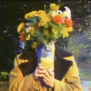 °𝒟𝒶𝓇𝓀 𝓃𝒾𝑔𝒽𝓉 °