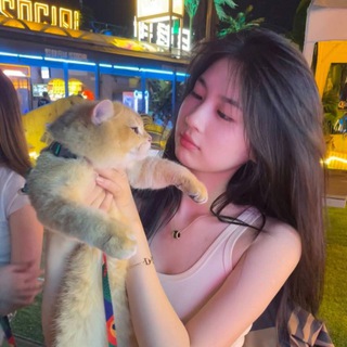 杏彩体育