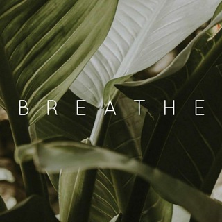 Deepbreath
