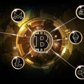 Crypto Hunter Support