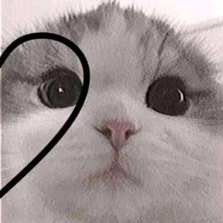 Гений