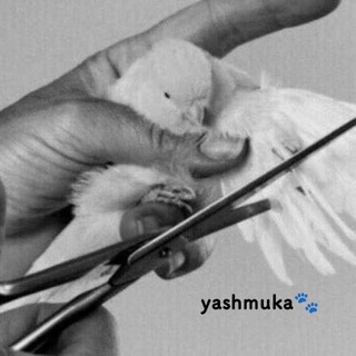 yawmukaa ت
