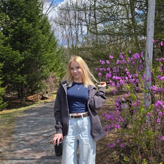 Alice