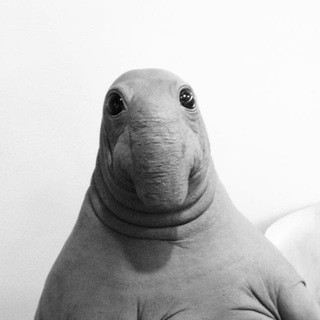 Mem_pig
