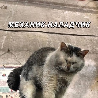 Серёжа