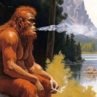 Homo Erectus