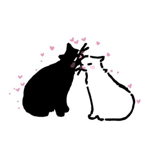 danceracha anon ^