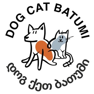 Dog Cat Batumi🐱🐶