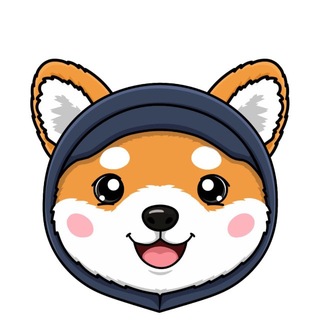 🇨🇳 Asteroid Shiba | SpaceX