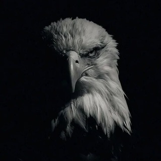 ايمن