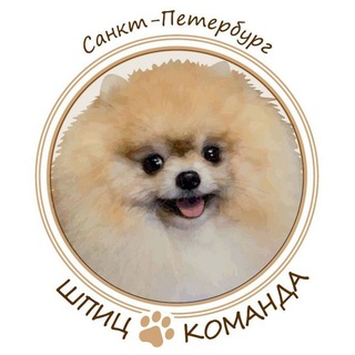 Шпиц-команда СПБ