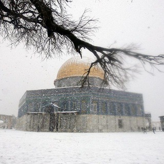 طقس فلسطين