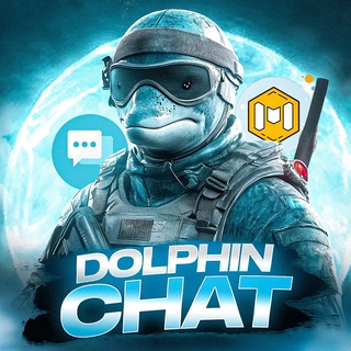 Dolphin Project Chat 💬