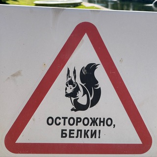 Свинюга