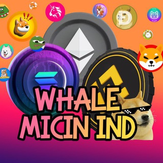 SOLANA WHALE INDONESIA 🐳🐬