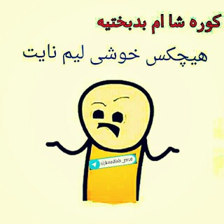 کورد بوی