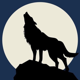 BlackWerewolf | canale italiano 🇮🇹